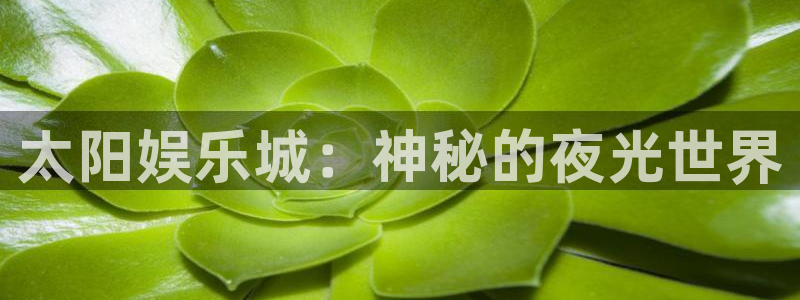 upload/20250701114914.jpg